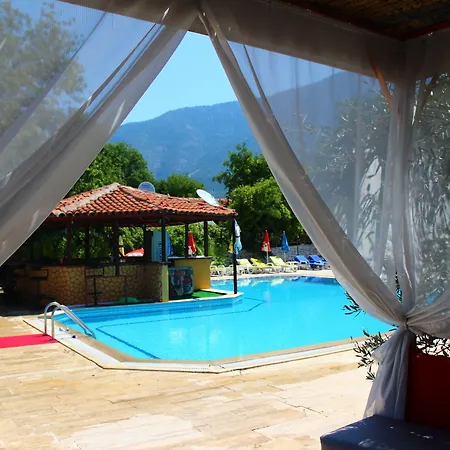 Our Place 3*